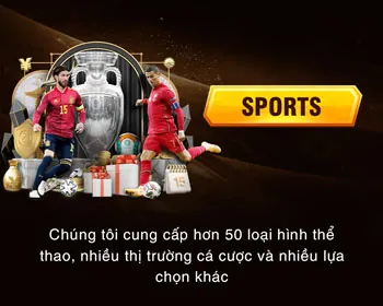 Võ sĩ đang thi đấu trên sàn đấu, tượng trưng cho các môn thể thao khác